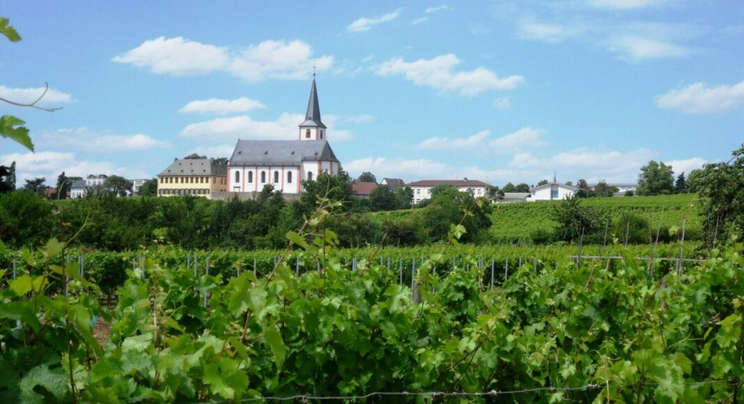 HochheimSilhouetteSO e1656571819618