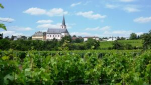 Hochheimsilhouetteso e1656571819618