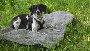 57-jähriger mann aus wiesbaden vermisst