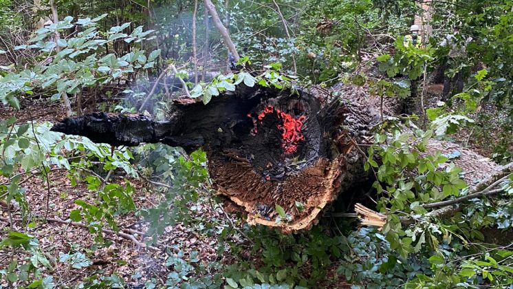 IMG 20210721 WA0000 e1626937693369