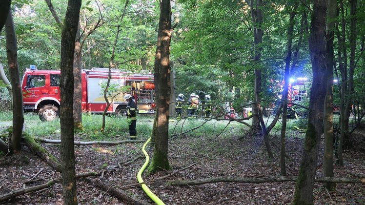 IMG 3159 e1626937570792