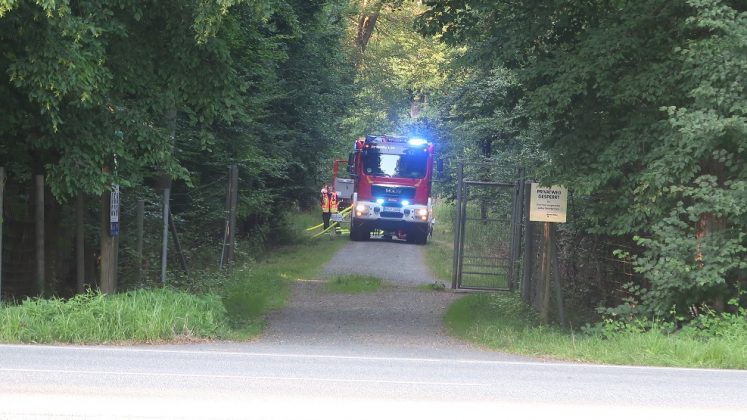 IMG 3165 e1626937611675