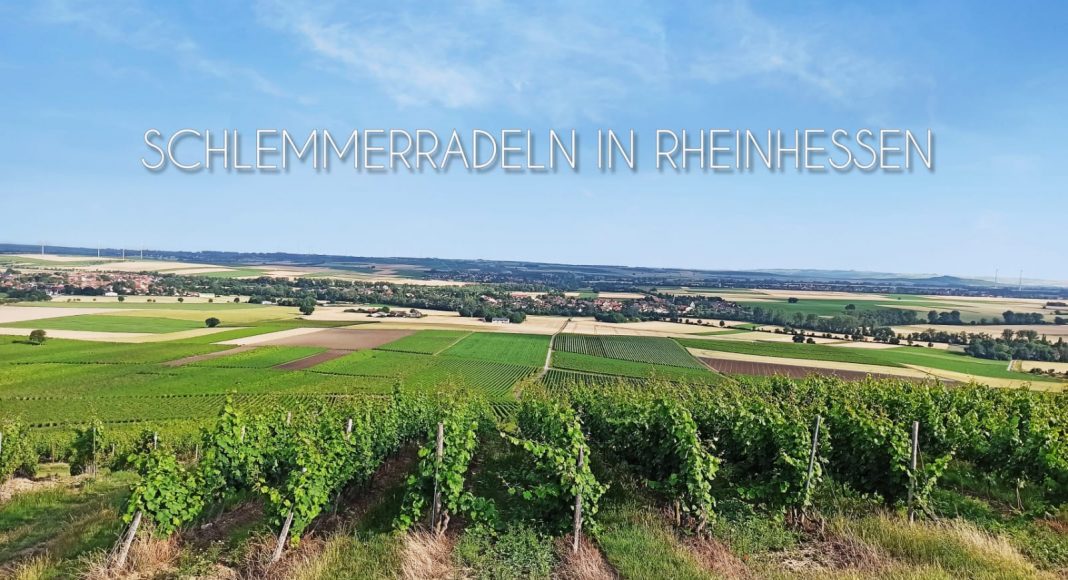 WhatsApp Image 2021 07 05 at 17.50.33