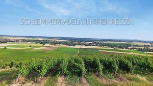 Neun verletzte personen bei eltville am rhein