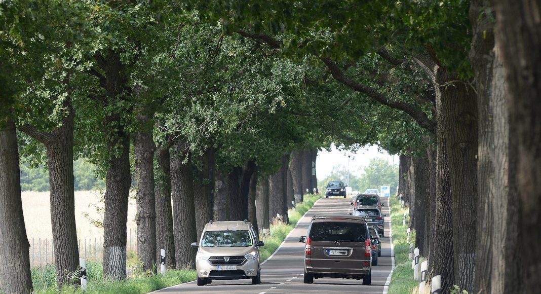 Allee 3