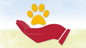 Oppenheimer polizei rettet schildkröte auf der b9 bei nackenheim