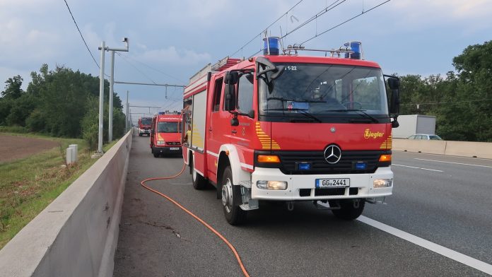 IMG 3351 e1628931330198 IMG 3351 e1628931330198