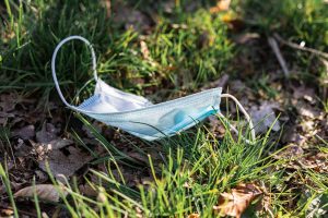 Whatsapp image 2021 08 10 at 20. 05. 49