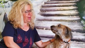 Rettungssanitäterin in wiesbaden attackiert und angespuckt