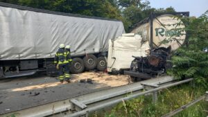 Freizeittipp: der goldene herbst in rheinhessen