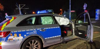 7553680F 3D60 449C 9B1C 813CD4CB74E0