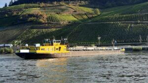 Friday for future | demo zum internationalen klimastreik auch in mainz