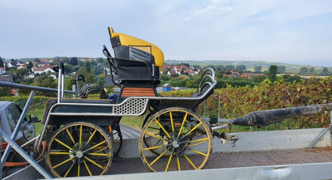 IMG 20210926 WA0005