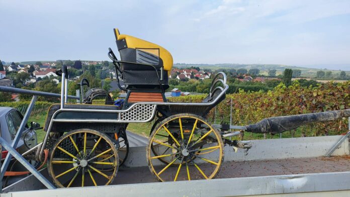 IMG 20210926 WA0005