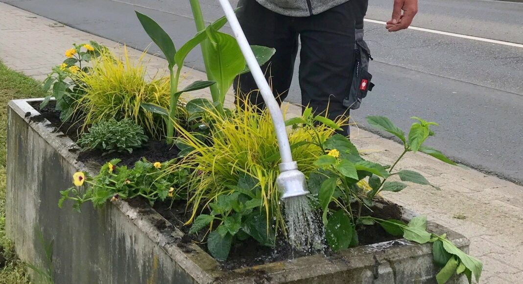 Sommerbepflanzung Opp Mai2021 2 e1632855116434