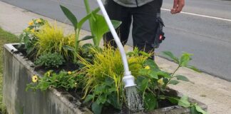 Sommerbepflanzung Opp Mai2021 2 e1632855116434