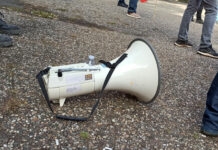 Protest-Aktion von Greenpeace in Mainz Symbolbild12