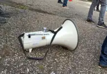 Protest-Aktion von Greenpeace in Mainz Symbolbild12