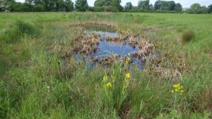 „power statt promille“ - ex nationalspieler uli borowka zu gast in oppenheim „power statt promille“ - ex nationalspieler uli borowka zu gast in oppenheim