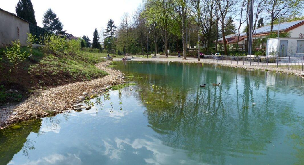 Topthema 20210913 2017  Ententeich c Stadt Bingen