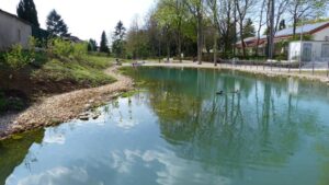 Topthema 20210913 2017  ententeich c stadt bingen