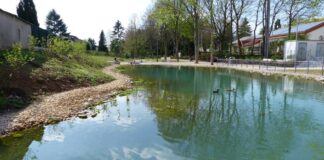 Topthema 20210913 2017  Ententeich c Stadt Bingen