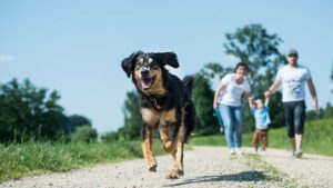 Unseriöse notdienste nutzen die notlage skrupellos aus