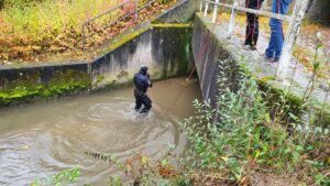 Brauchen sie einen krypto-handelsbot, um bitcoin zu kaufen und zu verkaufen?