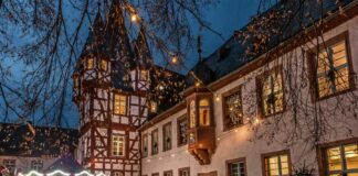 Broemserhof mit Karusell low Foto Ruedesheim Tourist AG