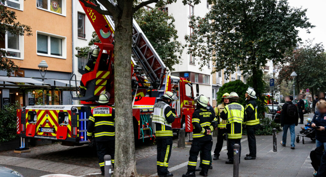 E9EA08CF 7EBC 491D 9395 BB49BD4DD64A E9EA08CF 7EBC 491D 9395 BB49BD4DD64A