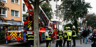 E9EA08CF 7EBC 491D 9395 BB49BD4DD64A