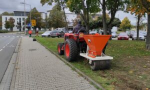 Einbrecher machen beute in rüsselsheim