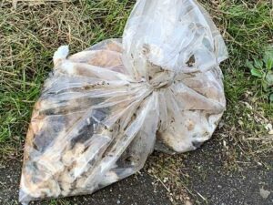 Mann feuert mit schusswaffe auf frau in rüsselsheim