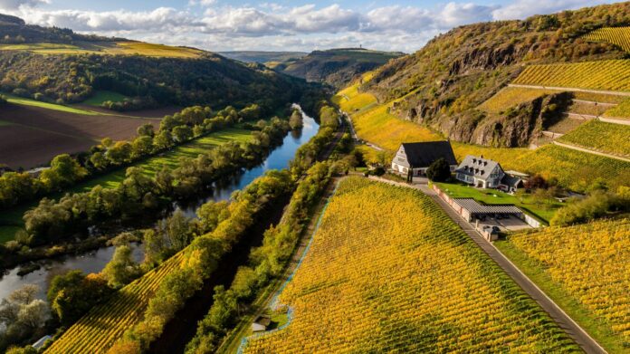 Nahetal Weinlandschaft Gut Hermannsberg Philipp Koehler Nahecopter Nahetal Weinlandschaft Gut Hermannsberg Philipp Koehler Nahecopter