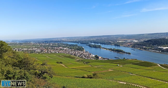 Nachrichten Rheingau-Taunus-Kreis
