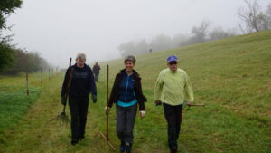 Vw kracht frontal in streifenwagen - mehrere personen verletzt