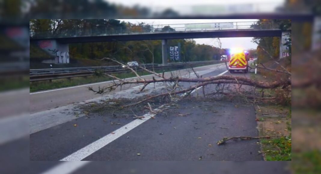 Baum auf Fahrbahn, Autobahn A643