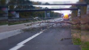 Region rheinhessen-nahe entwickelt neue wasserstoffstrategie