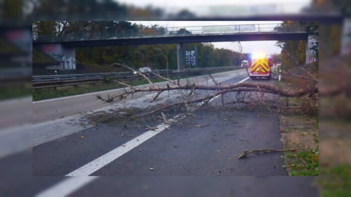 Baum auf Fahrbahn, Autobahn A643
