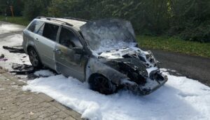 Pommes public. Image 2021 10 23 12 11 25 1 e1635068073455