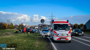 Hundewelpen in ingelheim ausgesetzt - polizei bittet um hilfe