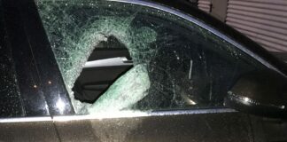 DAUF Audi 1 e1636054038302