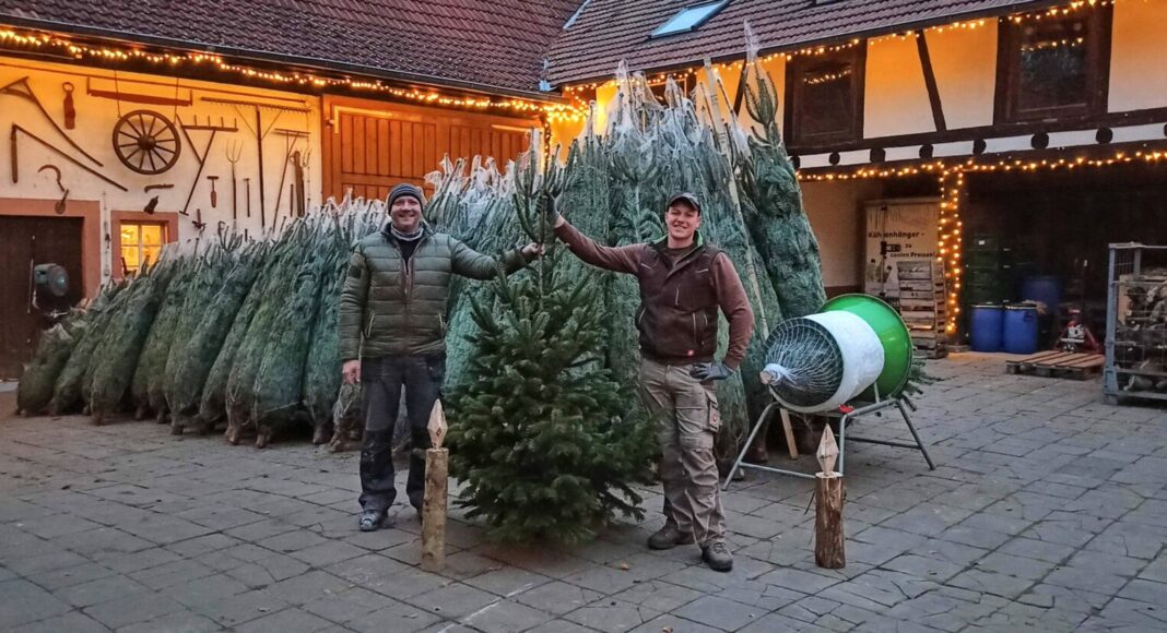 IMG 20201125 165610 IMG 20201125 165610