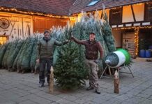 Weihnachtsbäume in Wackernheim für den guten Zweck IMG 20201125 165610