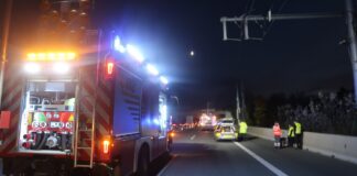 IMG 3597 e1636638247904