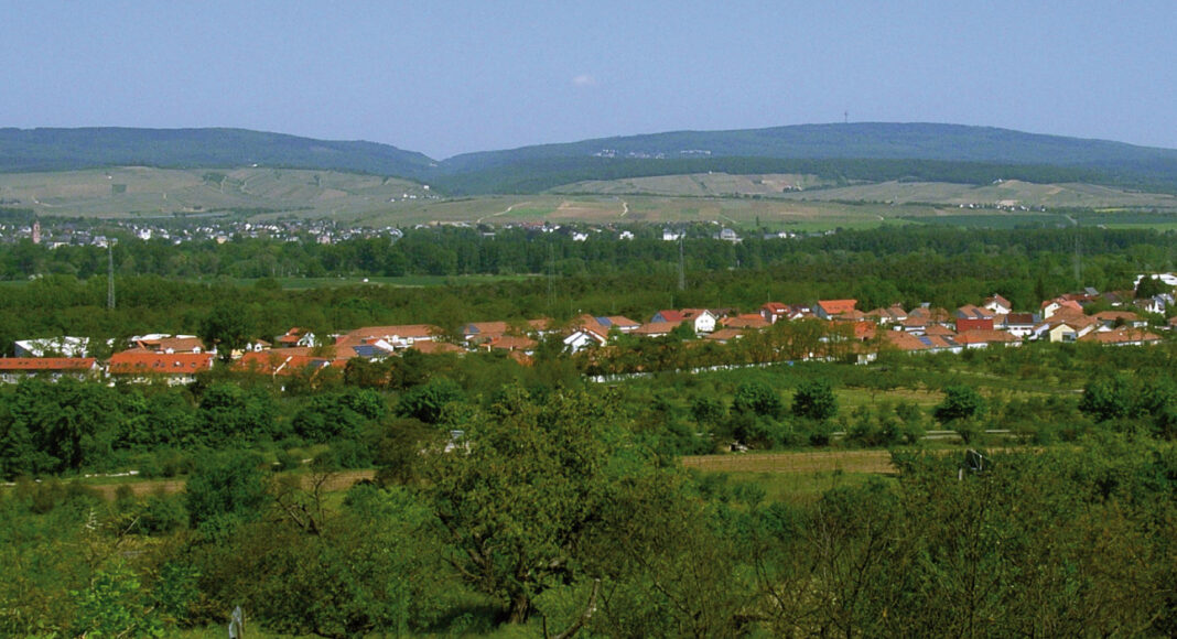 Uhlerborn Heidesheim