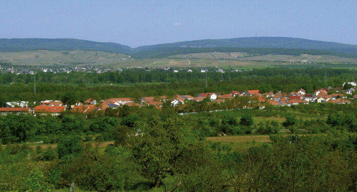 Uhlerborn Heidesheim