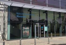 Naturhistorisches Museum Mainz lädt ein zur Winter-Bastelwelt Naturhistorisches Museum