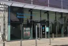 Naturhistorisches Museum Mainz lädt ein zur Winter-Bastelwelt Naturhistorisches Museum