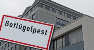 Geflügelpest, symbolbild